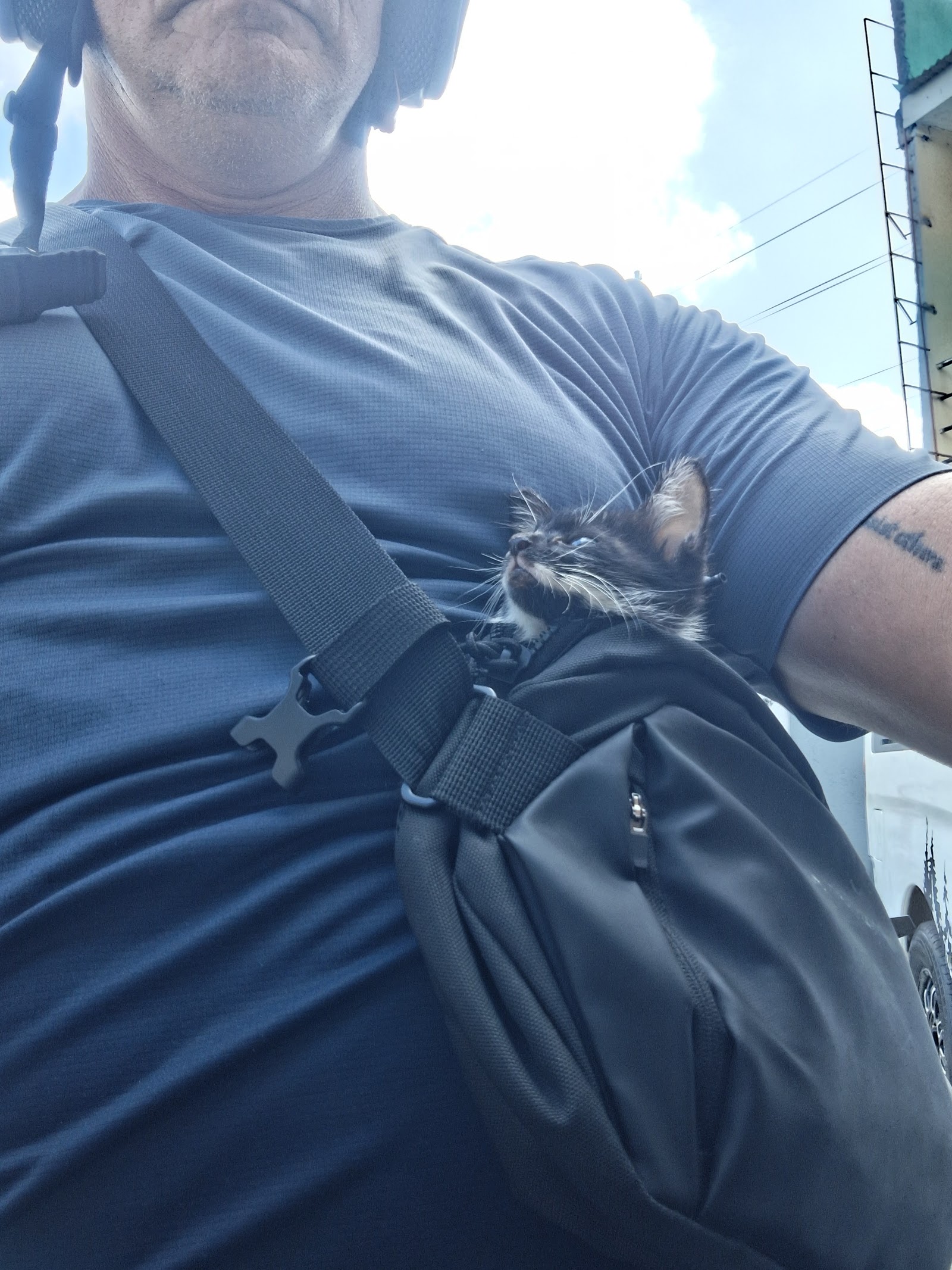 Gabby carried in a sling against the owner's chest