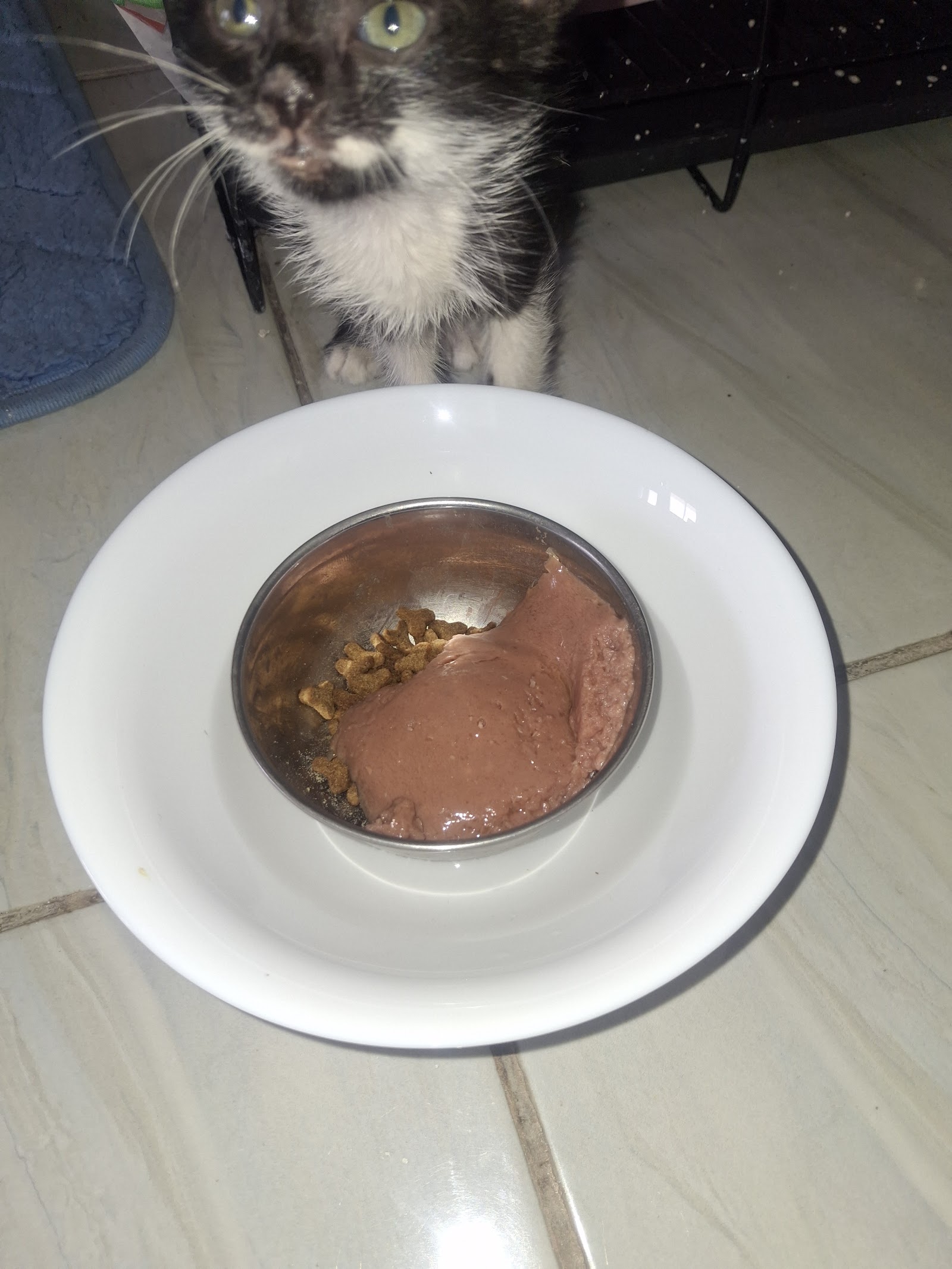 Gabby standing behind a bowl of food